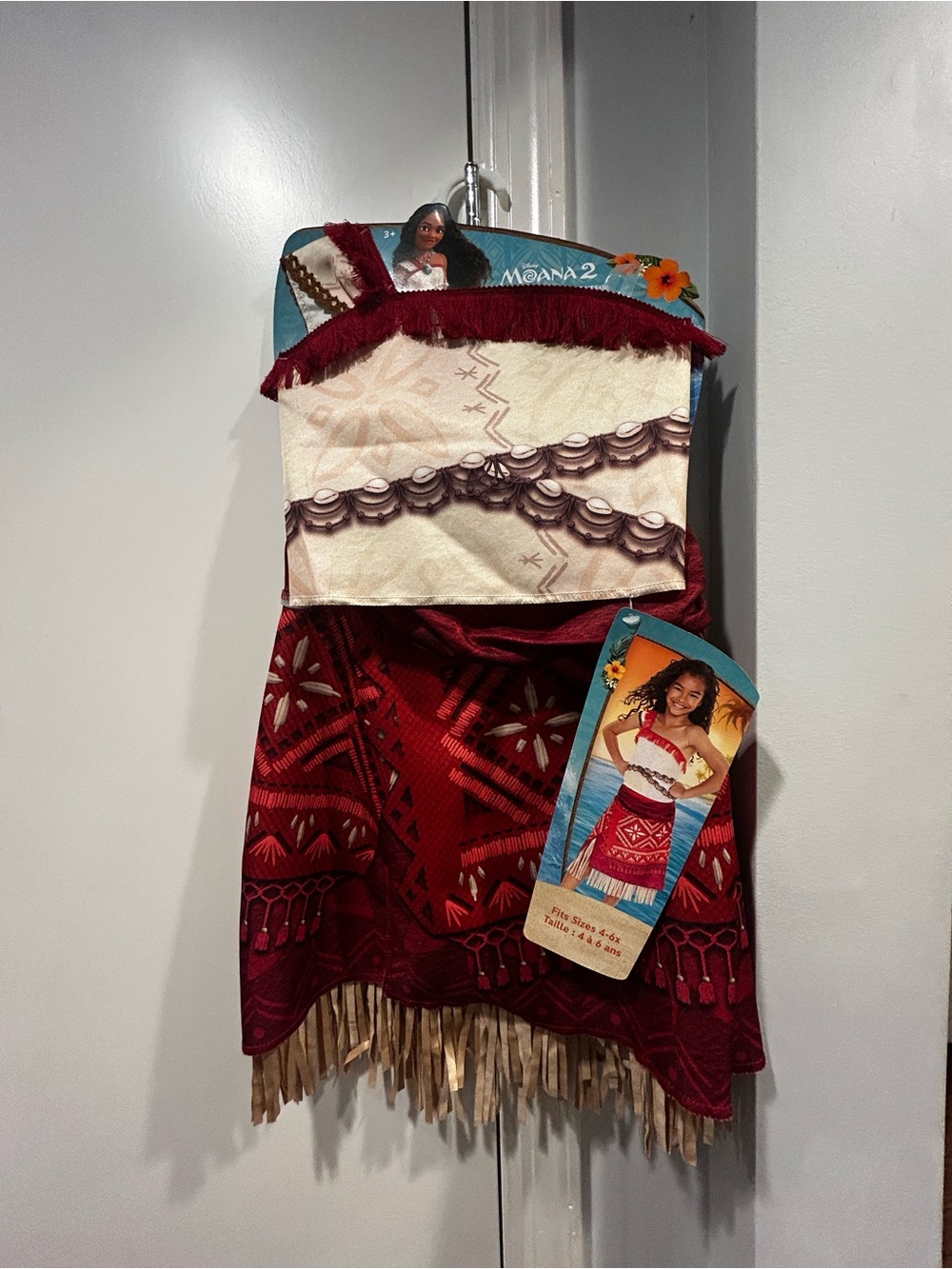 Disney Moana 2 Burgundy and Cream Girls' Costume Dress